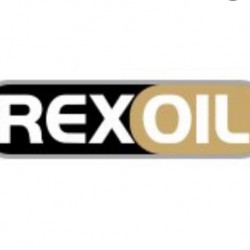REXOIL 10W-30 CHROME ENGINE OIL GALLON 4L