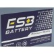 FIRESTORM NS40ZL MF BATTERY