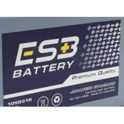 ESB NS40ZL (40620L) BATTERY