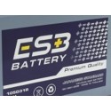 ESB NS40ZL (40620L) BATTERY