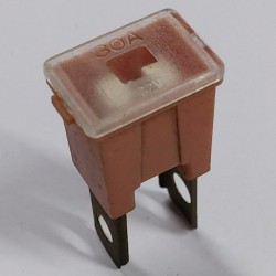 30AMP MAIN FUSE