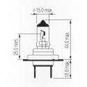 H7 BULB 12V 60/55W