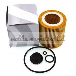 OIL FILTER WITH DRAIN PLUG BMW 11427953125