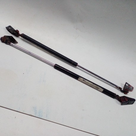 TAIL GATE SHOCK PAIR KIA CARENS